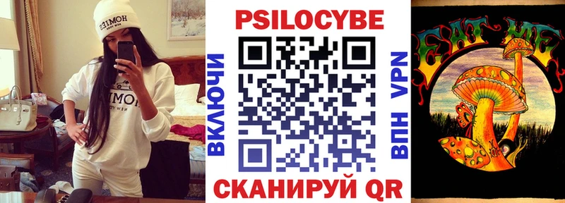 Купить где  Ершов  Галлюциногенные грибы ЛСД 